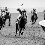 初心者が知っておきたい競馬の予想